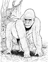 Gorila En El Bosque Dibujo Para Colorear Paginas Para Colorear De Animales Ilustracion Animal Dibujos De Sirenas