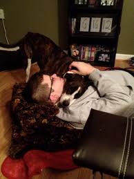 Buy pet health care online and view local walgreens inventory. Medications For Pets At Walgreens Love Pasta And A Tool Belt