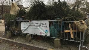 Notre équipe est heureuse de vous accueillir et pourra vous conseiller avec. Bordeaux Apres Les Fetes Decouvrez Ou Jeter Votre Sapin