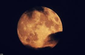 pin on lunar eclipse blood moon
