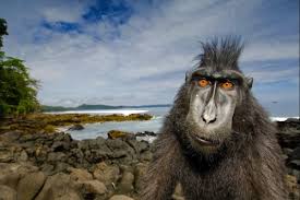 30+ contoh kalimat persuasif yang baik dan benar (lengkap). Buatkan 5 Contoh Kalimat Numeralia Dan 5 Larangan Dan 5 Kalimat Perintah Brainly Co Id