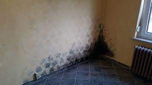 Ich hatte in mietwohnungen schon stark schimmelnde schrankrückwände, weil der schrank press mit dem. Vorsicht Schimmel Kuchenplaner Magazin