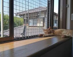 猫が網戸にするいたずら対策 登らせない 破かせない裏ワザ catchu きゃっちゅ 猫 網戸 対策 猫 猫 網戸