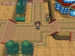 Image result for Janusia