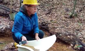 Castiga mii de dolari din exploatarea aurului! Pe Urmele Aurului Singurul CÄutÄtor Autorizat De Aur Din Romania