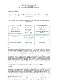Bir şehir efsanesine göre barış manço vefat etmeden son gördüğü. Pdf The Mediating Role Of Self Efficacy On The Effect Of Coping Strategies On Occupational Satisfaction