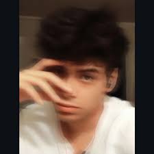 Mousecatool Succulent