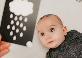 Newborn Sensory Flash Cards