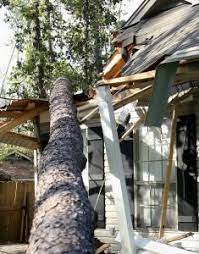 Maybe you would like to learn more about one of these? Emergency Roof Repair Portland Pioneer Roofers