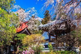 春の和歌10選 万葉集・古今集などから代表的な歌を厳選！ - ワンカメラ