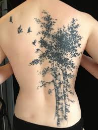 Aspen Trees Arbres Peuplier Chan Birch Tree Tattoos Birches Tattoo Tattoos