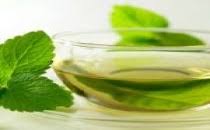 Mide Bulantisina Ne Iyi Gelir Bitki Tarifler Yesil Cay