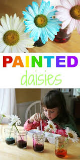 Painted Daisies As Simple Science Experiments For Kids And Are Always A Hit Easy Science Experiments Science Experiments Kids Science For Kids