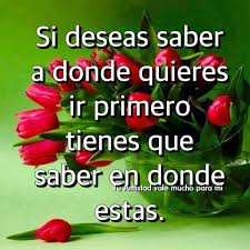 118 Imagenes Etiquetadas Con Rosas Rojas Imagenes Cool Asi es este maravilloso ramo de buen servicio y producto (con posibilidad de comprobarlo por foto antes de salir de la tienda) y en unas condiciones excepcionales debido al confinamiento. con rosas rojas