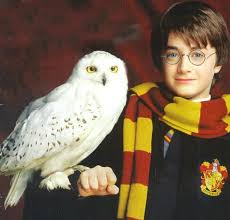 Harry Potter And Hedwig Seeing This Picture For The First Time Was Like Having All My Childhood Fant Harry Potter Owl Harry Potter Hedwig Harry Potter Prequel