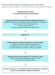 Diagnose und differentialdiagnose der anaphylaxie. Prise En Charge De L Anaphylaxie Vaccination Info Service