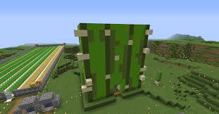 These cookies may be set through our site by our advertising partners. Made A Cactus Around My Cactus Farm Minecraft Cactus Farm Minecraft Houses Blueprints Minecraft Projects