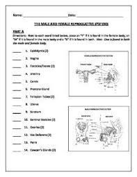 Pin On School Notes