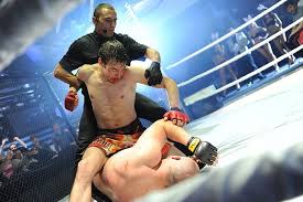 Пьяный артем тарасов задержан за потасовку на вокзале. 10 Bloodiest Mma Fights In History Martial Arts Unleashed
