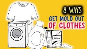 We did not find results for: There Are 8 Easy Ways To Get Mold Out Of Clothes Youtube