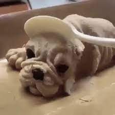 Dog Cake Gifs Tenor