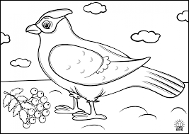 Birds coloring pages for kids. Printable Coloring Pages For Kids Birds Amax Kids