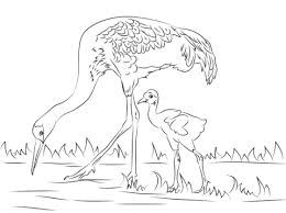 Pin On Color Your World One Page At A Time