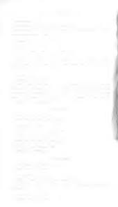 Image result for Crotalaria longithyrsa