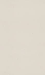 4141 Misty Carrera: Beige Quartz Countertop