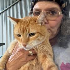 Does anyone recognize this baby found in Pickles Gap area north of Conway 