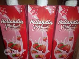 Ale proč si na něco hrát, když prostě chceme udělat něco pro vás? Hollandia Youghurt In Ado Odo Ota Meals Drinks Ekikere Stores Find More Meals Drinks Services Online From Olist Ng
