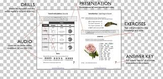 It was devised by the international phonetic association in the late 19th. Pronunciation Studio English Spoken Language International Phonetic Alphabet Png Clipart 2018 Area Certified Teacher Course English