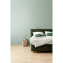 Schoner Wohnen Farbe Wandfarbe Designfarbe Harmonisches Jadegrun 2 5 L Feinmatt Schoner Wohnen Farbe Schoner Wohnen Wandfarbe Schoner Wohnen