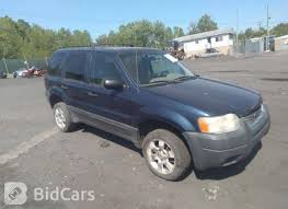 Image result for True Blue 2002 Escape