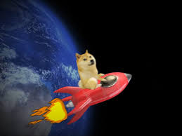 Doge is our fun, friendly mascot! Elon Musk To Launch Spacex Doge 1 Mission Paid For In Dogecoin The Independent