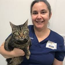 Kim Cat's Instagram, Twitter & Facebook