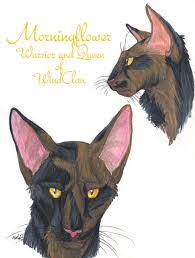 Morningflower Faces By Mudstarmord Sith On Deviantart Warrior Cat Warrior Cats Love Warriors