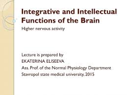 Image result for Higher Integrative Function