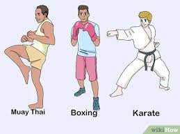 3 Ways To Begin Mixed Martial Arts - Wikihow