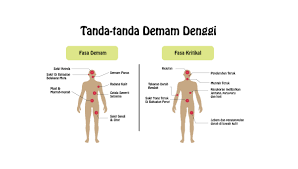 Demam biasanya berhubungan dengan ketidaknyamanan fisik dan banyak orang diagnosis demam. Tanda Tanda Deman Denggi Dan Apa Yang Anda Boleh Lakukan Eztakaful