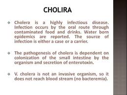 Waterborne Pathogens Bacteria February 9 Th 11 Th Ppt Download