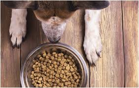 Future trends of the pet food manufacturers. Texture Analysis Of Pet Food And Animal Feed