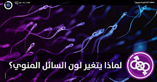 يهدف تحليل السائل المنوي الي اختبار عدد ونوعية الحيوانات المنوية في عينة السائل المنوي للمساعدة في تشخيص ما إذا كان الرجل لديه مشكلة في الإنجاب (العقم) من عدمه. Ø§Ù„Ø¨Ø§Ø­Ø«ÙˆÙ† Ø§Ù„Ø³ÙˆØ±ÙŠÙˆÙ† Ù„Ù…Ø§Ø°Ø§ ÙŠØªØºÙŠØ± Ù„ÙˆÙ† Ø§Ù„Ø³Ø§Ø¦Ù„ Ø§Ù„Ù…Ù†ÙˆÙŠ