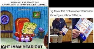 9gag is your best source of fun! Fourteen Veterinary Memes For The Heroes Who Care For Our Pets Mimicnews