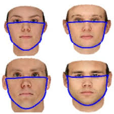 Twenty sample random realizations of the base face category from the...