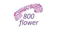Our top discount is 20% off. 800 Flowers Uae Coupon Codes 50 Off June 2021