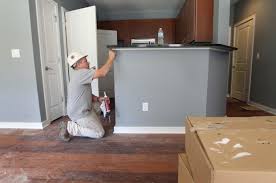 surviving a kitchen renovation project