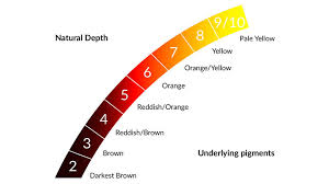 Underlying Pigment Chart Hair Color Lajoshrich Com