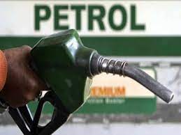 My shih tzu, trixie, loves petrol! Petrol Prices Inch Towards All Time High