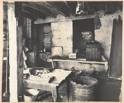 Pin On Bubonic Plague Sydney